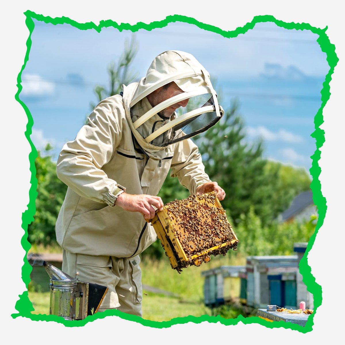 تقنيات تربية النحل