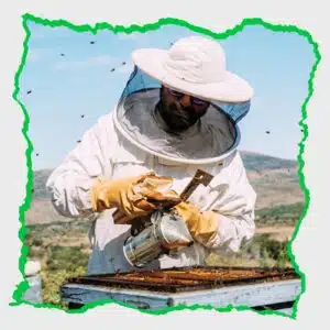 عندما نتحدث عن طرق تربية النحل في المغرب، هناك طريقتان رئيسيتان لتربية النحل، الطريقة التقليدية والطريقة الحديثة. وعلى الرغم من وجود بعض التشابهات بينهما، إلا أن الاختلاف بينهما كبير جدًا فيما يتعلق بالإنتاجية والعناية بخلايا النحل والحفاظ عليها.